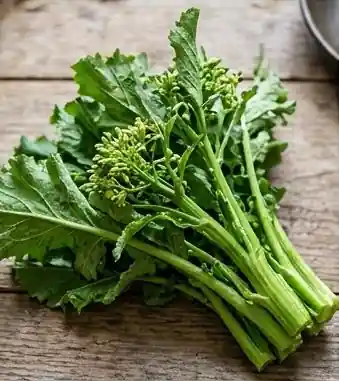 Cime di Rapa